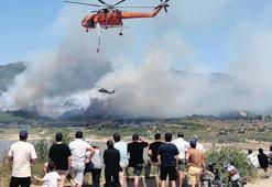 Yeşil Vatan’ın belalısı izmarit