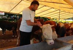 Son dakika: Ülke genelinde tüm hayvan pazarları kapatıldı