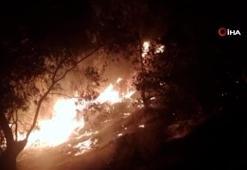Balıkesir'de zeytinlik alanda çıkan yangına ekipler müdahale ediyor