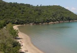 Dilek Yarımadası Büyük Menderes Deltası Milli Parkı Nerede? Nasıl Gidilir? Ziyaret Rehberi ve Giriş Bilgileri