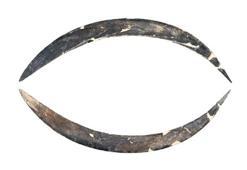 40 bin yıllık bumerang