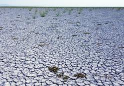 Konya’nın mavisi soldu! Akşehir Gölü tamamen kurudu: Yeni tablo korkuttu