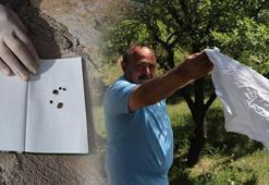 Profesörden kenenin varlığını anlama testi: Eğer ortamda varsa gelecektir