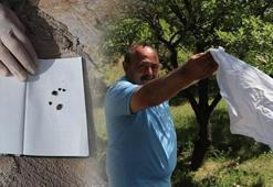 Profesörden kenenin varlığını anlama testi: Eğer ortamda varsa gelecektir