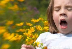 Burun akıntısını hafife almayın! Polen alerjisi yaz boyunca sürüyor