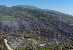 Hatay Dörtyol'daki orman yangını kontrol altına alındı