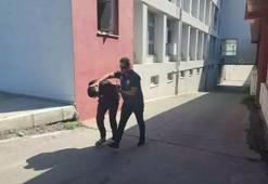 ‘Sazan sarmalı' dolandırıcılığı! Olay, tapuda ortaya çıktı