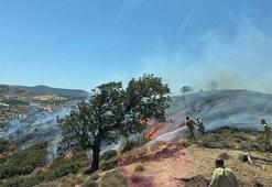 Çanakkale’de korkutan yangın! Havadan ve karadan müdahale başladı