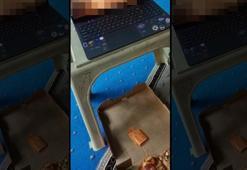 Sakarya'da skandal olay! İki öğrencinin uygunsuz paylaşımına işlem başlatıldı