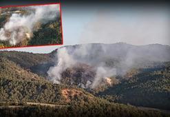 Bolu'da orman yangını! Ekipler havadan ve karadan müdahale ediyor