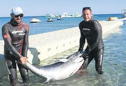 85 kiloluk balık tuttu