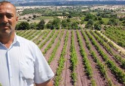 1 kent kabusu yaşadı! ‘Gece gündüz dönüşümlü nöbet tutuyoruz’