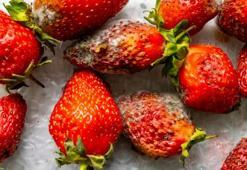 Çilek aldığınız gibi çürüyorsa çözümü çok basit! Günlerce taptaze kalıyor