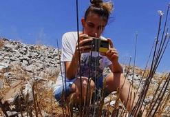 Adını bile duymadınız ama yok olmak üzere! Türkiye’de sadece 3 tane kaldı