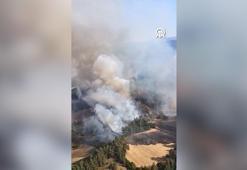Balıkesir'de çıkan orman yangınına müdahale ediliyor