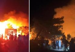 Hatay Samandağ'da orman yangını