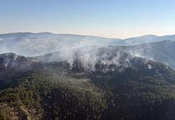 Balıkesir'deki orman yangını 2'nci gününde kontrol altına alındı