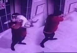 2 kentte vahşet! Biri hamile kediyi yere fırlattı, diğeri defalarca tekmeledi