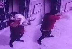 Konya’da vahşet! Hamile kediyi kameraya gösterip yere fırlattı
