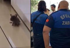 Baklavacıdaki mide bulandıran görüntü sosyal medyayı ayağa kaldırdı