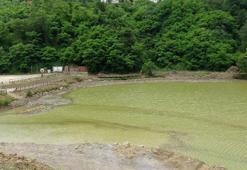 Uzman isim uyardı! Şehrin en büyük gölü bataklık olmak üzere