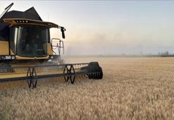 Trakya'da buğday hasadında sona yaklaşıldı