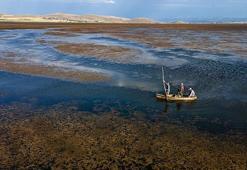 Türkiye’nin ilk İklim Kanunu yürürlükte! Prof. Dr. Hasar: Ceza yok, yol gösterici kurallar var