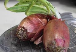 Mutfakta israfa son! Soğan uzunca süre çürümüyor ve sulanmıyor