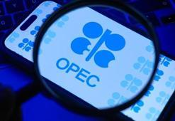 OPEC'ten petrol açıklaması