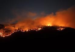 Çankırı'da 4 gün önce yanan alanda yeniden orman yangın çıktı