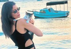 Kedi yüzünden CİMER’e şikayet edildi