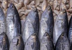 Karadeniz'in su ürünleri ihracatı arttı