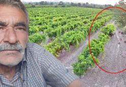Hırsızlara karşı kamera koydu, görüntüyü izleyince şoke oldu! ‘Çok dikkatli olmalıyız’