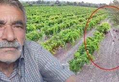 Hırsızlara karşı kamera koydu, görüntüyü izleyince şoke oldu! ‘Çok dikkatli olmalıyız’