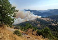 Bursa-Balıkesir sınırında orman yangını... Vatandaşlar tahliye edildi