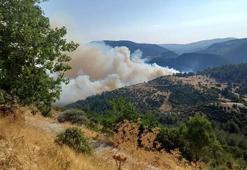 Bursa-Balıkesir sınırında orman yangını... Bir köy tahliye edildi!