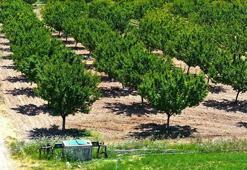 "Malatya’da sulama ile ekonomiye 17,5 milyar TL katkı hedefleniyor"