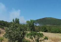 Aydos Ormanı'nda yangın