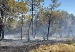 Son dakika... Aydos Ormanı'nda yangın