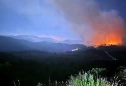 Suriye sınırında orman yangınına müdahale sürüyor! Ekipler tayakkuzda
