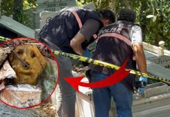 4 yıl önce ölen adamın mezarında esrarengiz olay