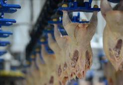 Tavuk eti üretimi mayısta arttı