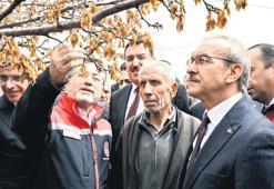 Tarım sigortasında zirai don dikkat çekti