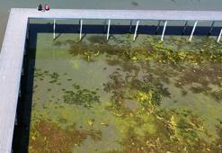 Türkiye'nin en büyük göllerinden biri! İçler acısı manzara