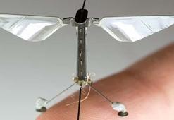 Sinek gibi küçük, jet gibi hızlı: Savaşların kaderini değiştiriyor!