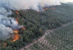 Şarköy yangını Gelibolu’ya sıçradı