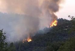 Son dakika... Balıkesir’de orman yangını! Alevler mahallenin sınırına dayandı