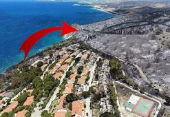 Ormanların yandığı alanlarda yeni tehlike: Bunu önlemek zorundayız