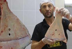 240 kemik arasından sadece ikisini kırıyorlar: 'Büyü yapılmasın diye yok ediyoruz'