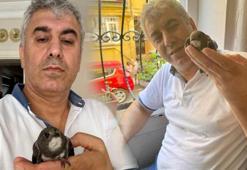 Gözlerine inanamadı! 6 yıl sonra geri geldi